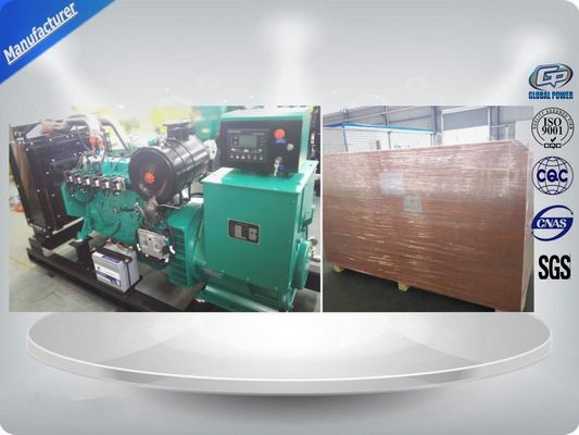 الصين مولد غاز الكتلة الحيوية العالمي بقدرة 10 كيلو واط - 1000 كيلو واط مع مولد غاز يعمل بالطاقة المزود