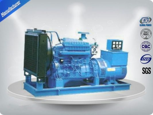 20KW مولد الغاز مجموعة المزود